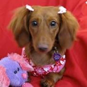 Michelle Hoppe's photo