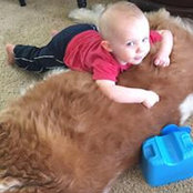 Julia Harriss foto