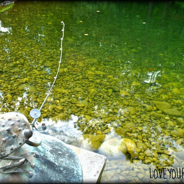 LARGE SCALE KOI POND w/ WETLAND FILTRATION