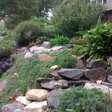 North Brunswick, NJ. Stone paths, Patios and Butterflies