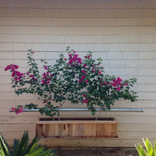 garden deck