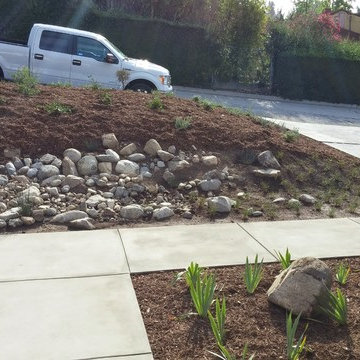 La Crescenta River Bed Project