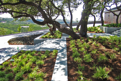 Photo of an asian landscaping in Austin.