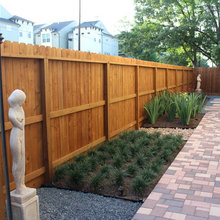 Landscape Ideas