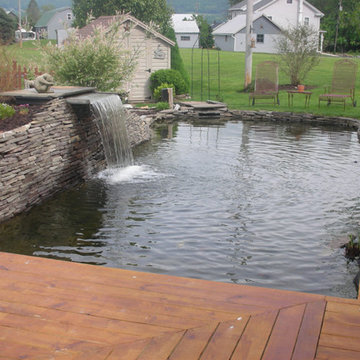 Ponds and Waterfalls