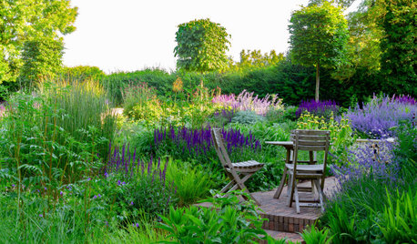 How to Create a Spirit-Lifting Sensory Garden