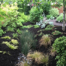 Landscape Ideas