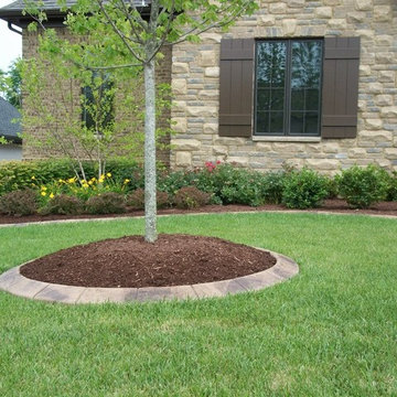 Our Work