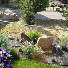 702 Brassey Back Yard Make Over