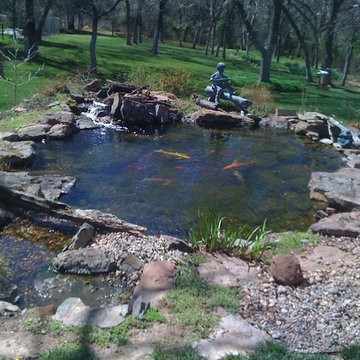 Ecosystem Ponds and Water Gardens By Continental Ponds