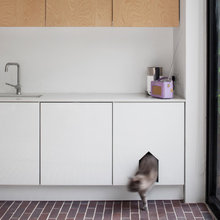 2023 Houzz Pets & The Home Survey