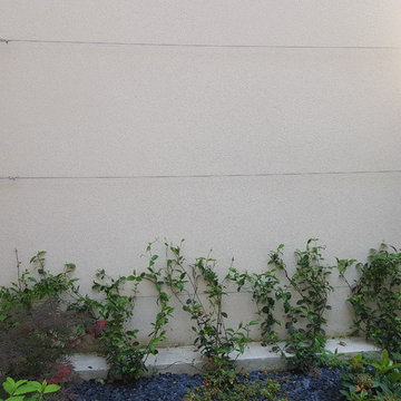 Terrasse composite et paillage ardoise