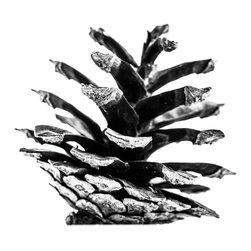 Graphic nature - Prints And Posters