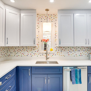 White and Blue Kitchen Design Chevy Chase, MD