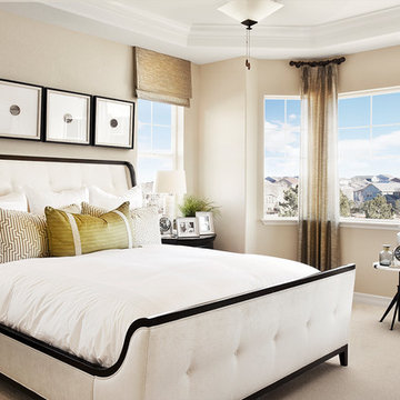 Delaney model home in Colorado