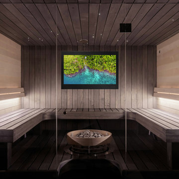 Sauna Televisions
