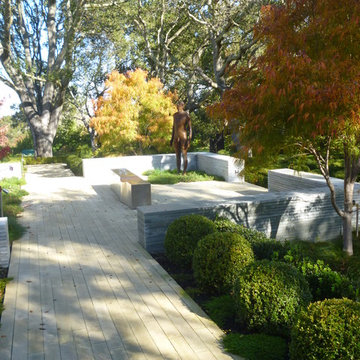 Paths & Steps