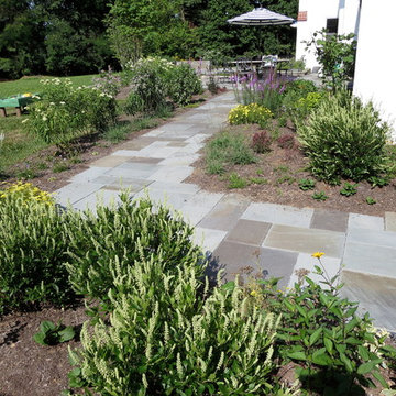 Willistown/Malvern native perennial garden and bluestone patio