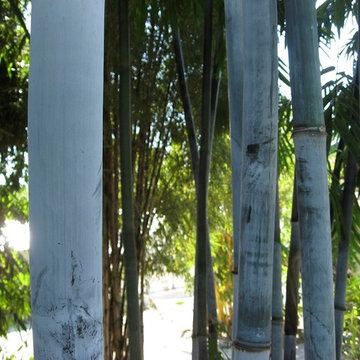 Bamboo Retreat