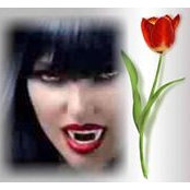 Diane Beauregard's photo