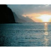 Pamela Halper's photo
