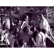 Mehsen Saade's photo