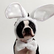 Fred Veronno's photo