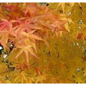 Sheri Feinstein's photo