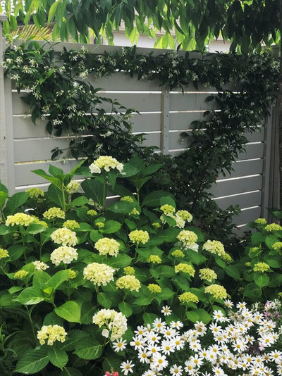 Traditional Garden by Ivy & Bloom