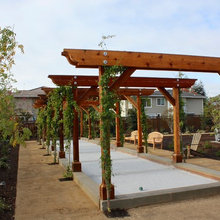 Boche Ball Court
