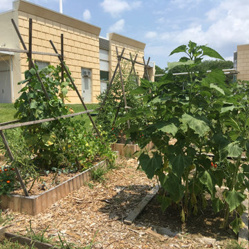 Community Gardens