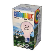 lighting ideas