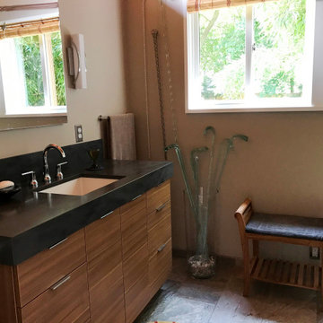 Ann Arbor Master Bath Addition: Water Hill