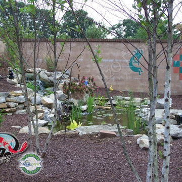 KOI Pond, Backyard Pond & Small Pond Ideas for your Kentucky Landscape