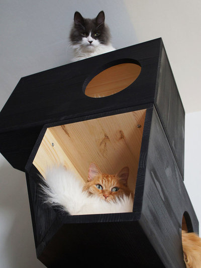 Современный Мебель для кошек by Catissa