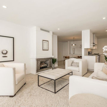 Los Angeles Condo/Remodel