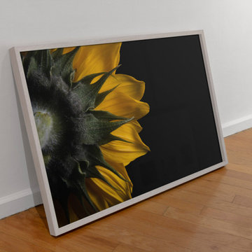 Backside of Sunflower Nature Floral Wall Art Print
