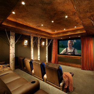 Home Theater Ceiling Houzz