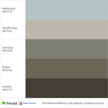 Paint Color