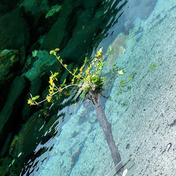 流木の花器　２００５年　春