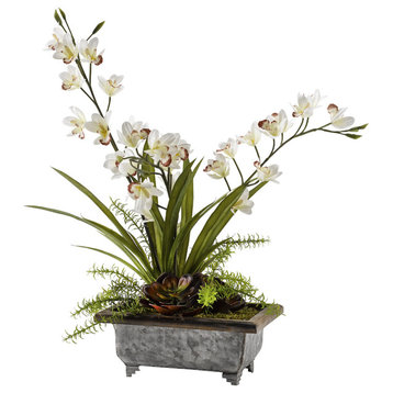 Cymbidium Orchids With Echeveria in Planter