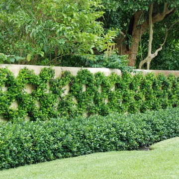 Miami Landscape Design Ideas