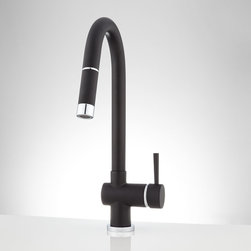 Motes Single-Hole Pull-Down Kitchen Faucet - Kitchen Faucets