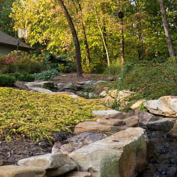 Natural Stream After