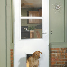 dog door