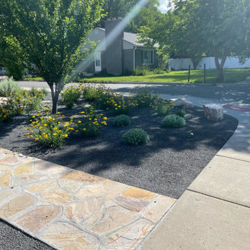 Xeriscape
