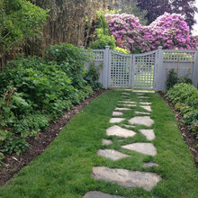 Landscape Ideas