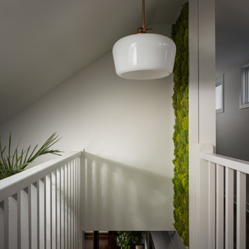 Mission, Kansas Staircase and Moss Wall