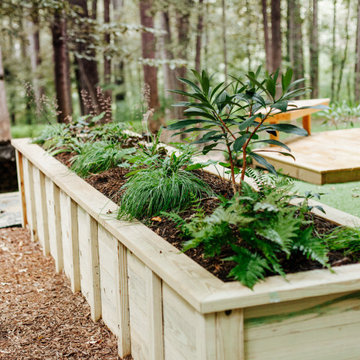 Backyard Studio Garden in Chapel Hill