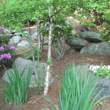 Ellen's Garden Landscape and Water Feature Fountain/Pond (Design/Build/Maintain)